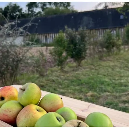 Romantique Dans Les Champs Hébergement de vacances Bonsmoulins