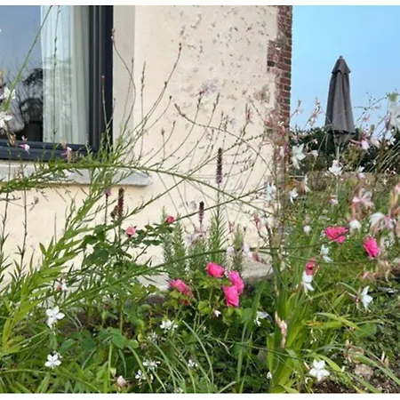 Romantique Dans Les Champs Hébergement de vacances